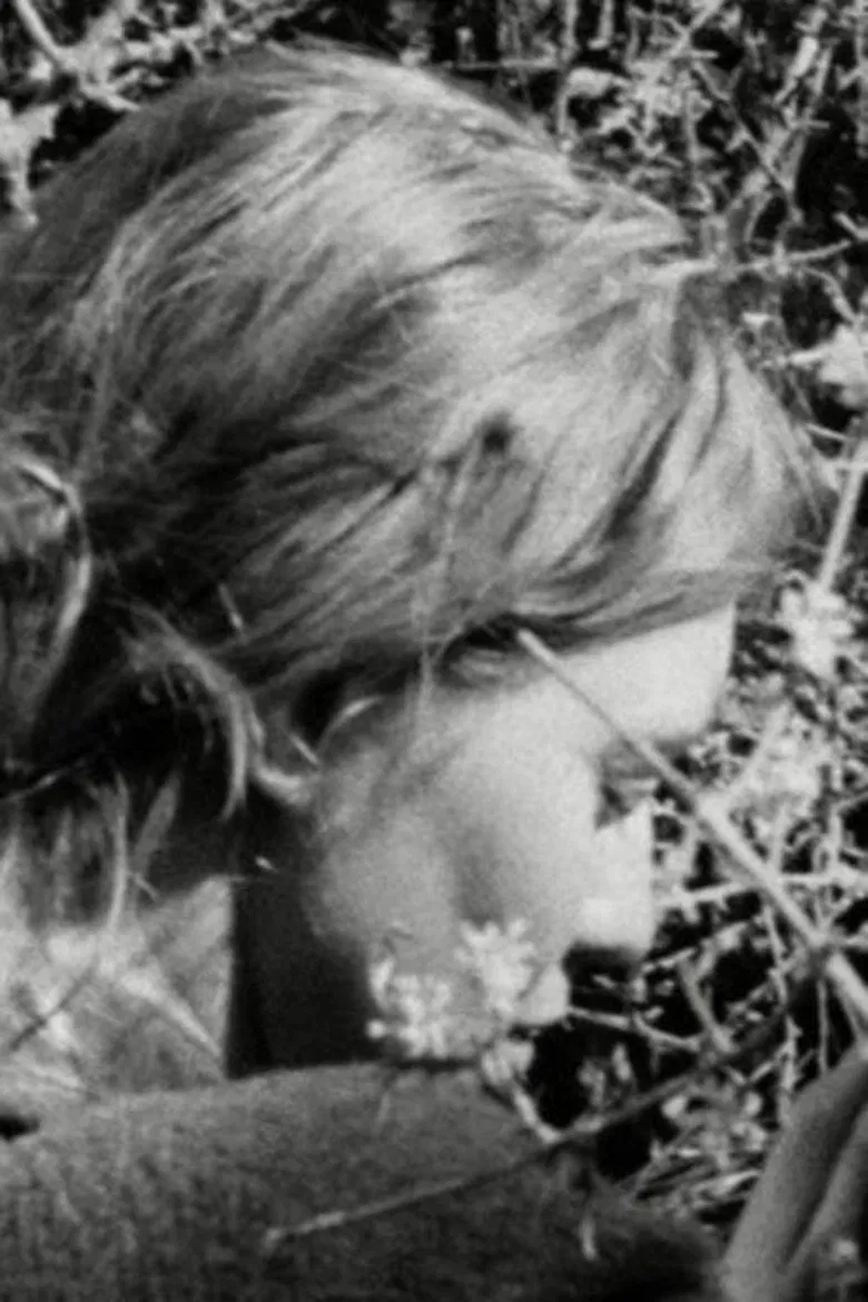 He Says He's Dead poster background