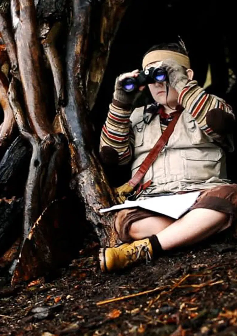 Deerfall poster background