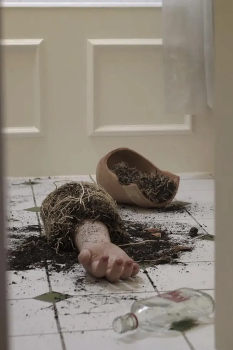 Seeds of Love poster background