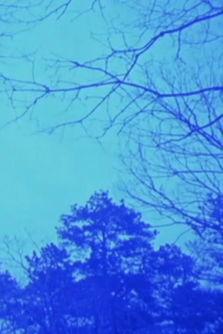 A Pattern Language poster background