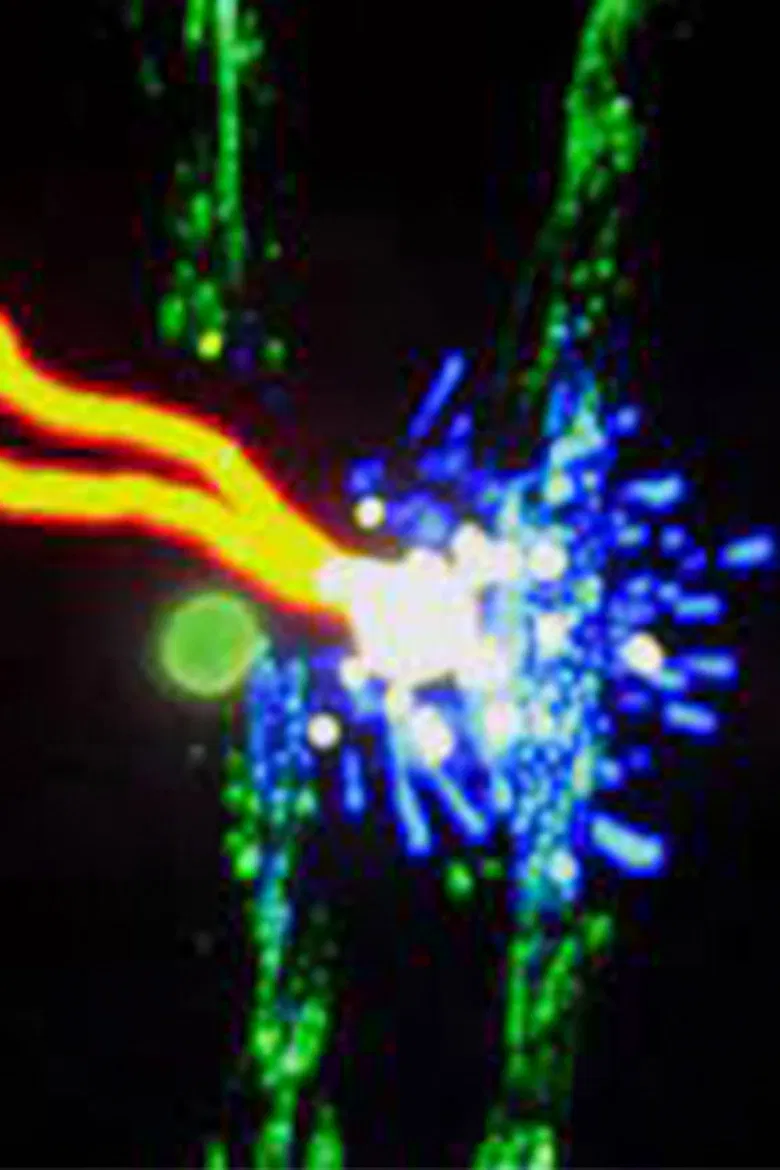 The Element of Light poster background