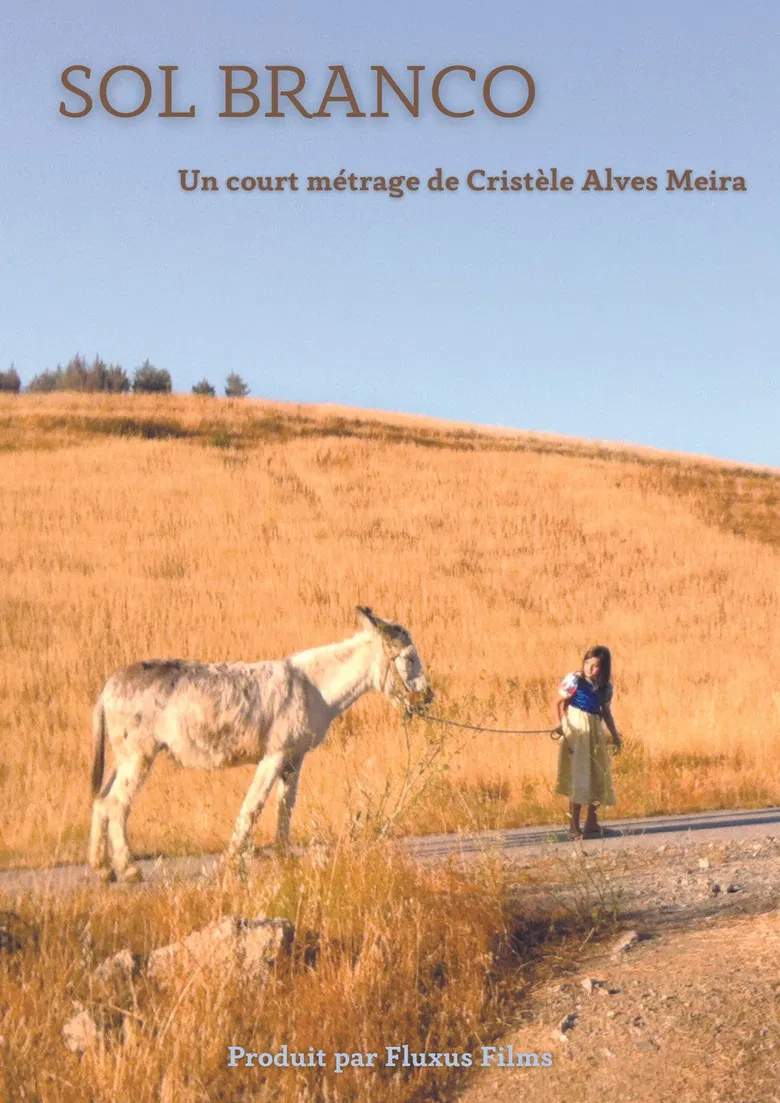 Sol Branco poster background