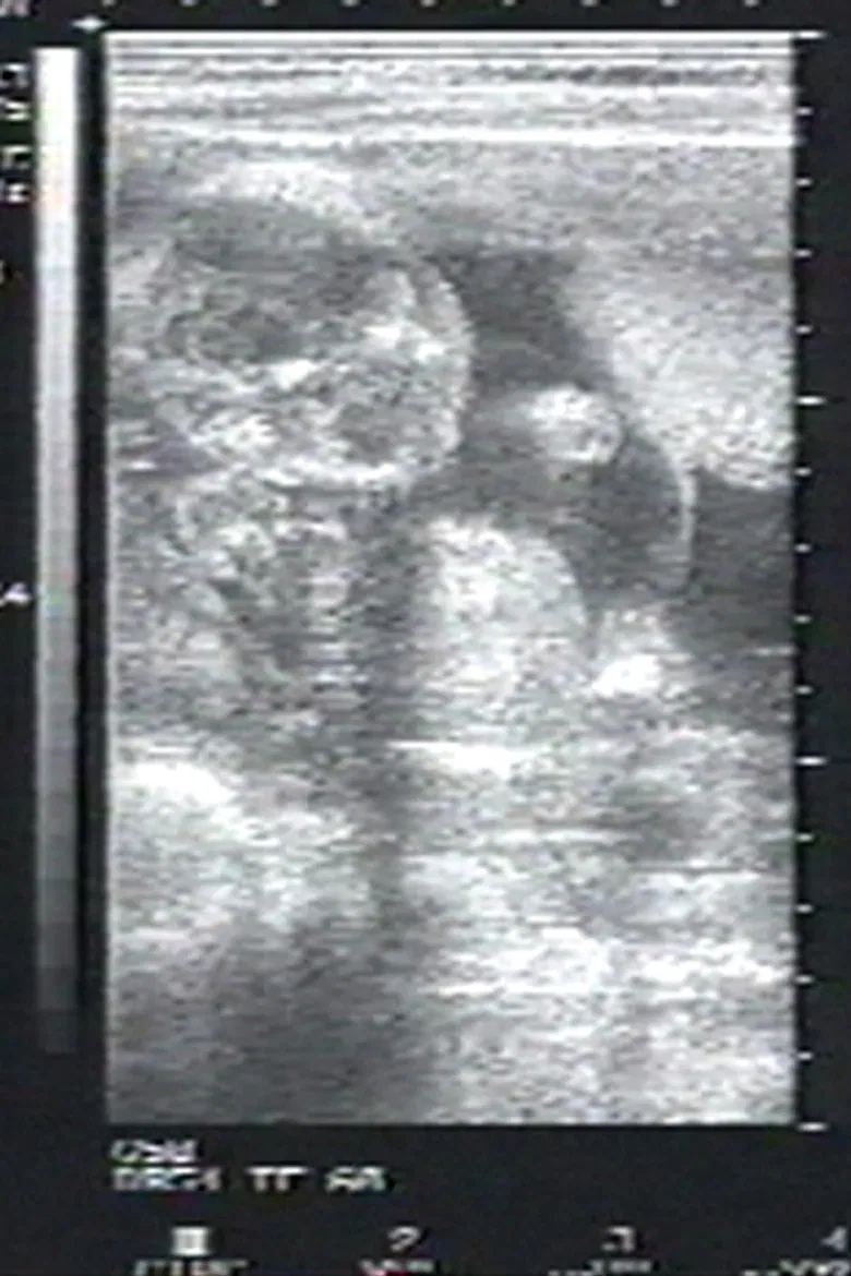 Sea of Time poster background