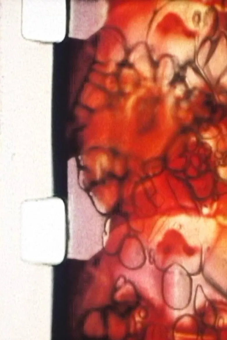 Burn (Or, the Second Law of Thermodynamics) poster background