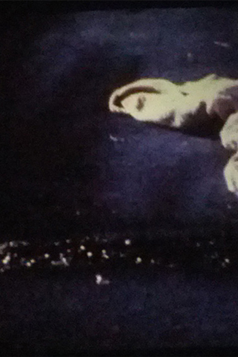 Trekkerriff poster background