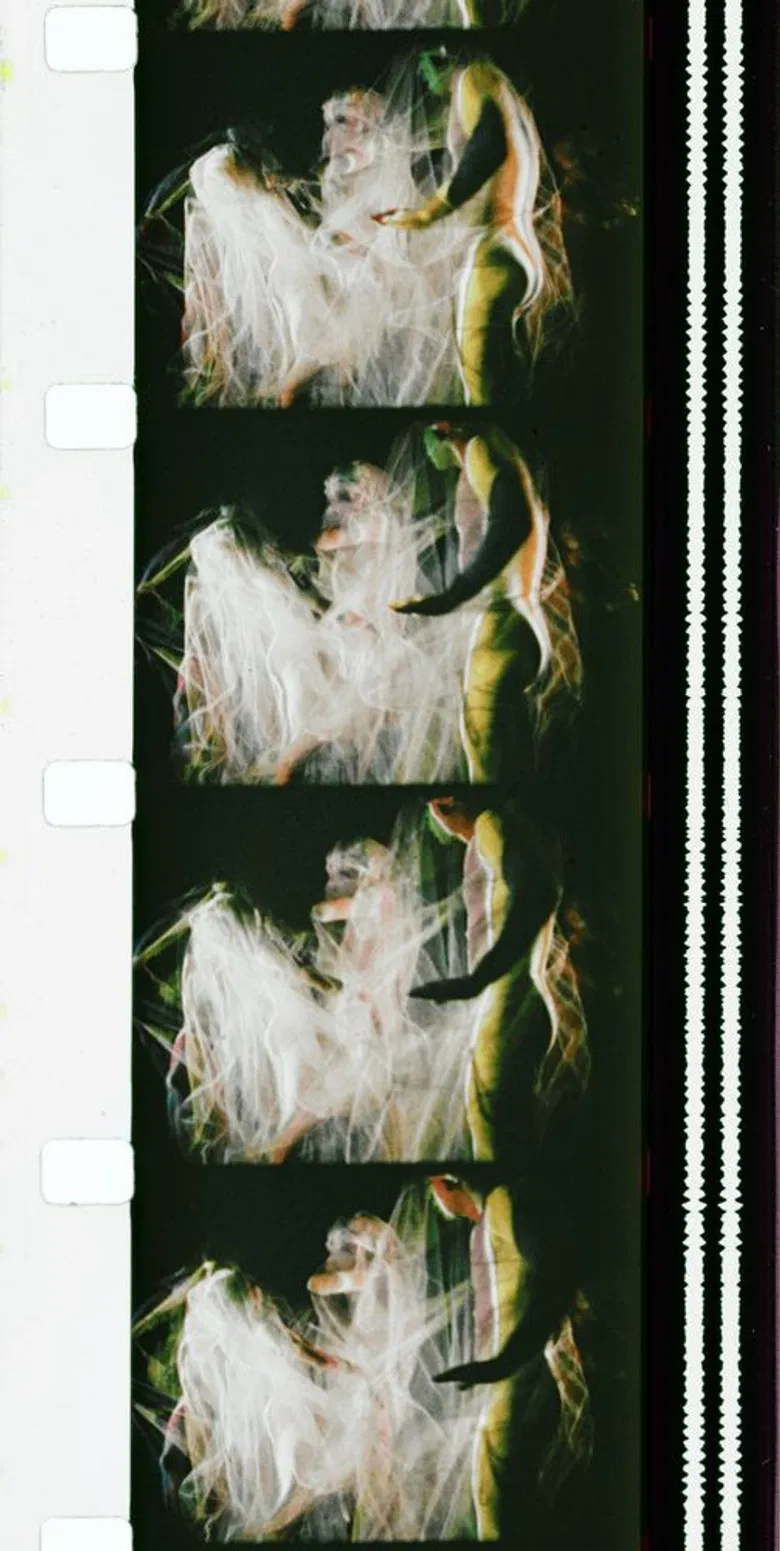 Chrysalis poster background