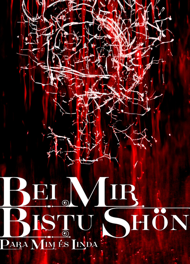 BEI MIR BISTU SHON: PARA MIM ES LINDA poster background