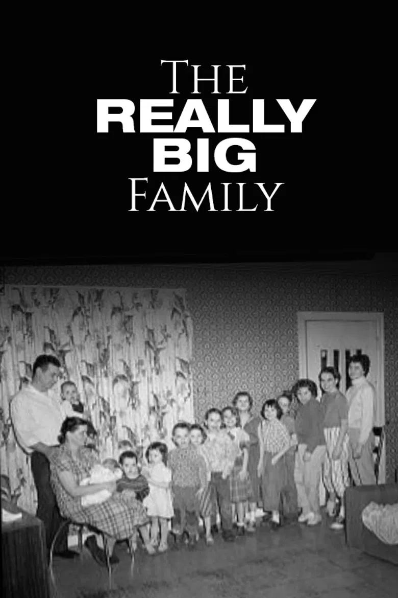 The Really Big Family poster background