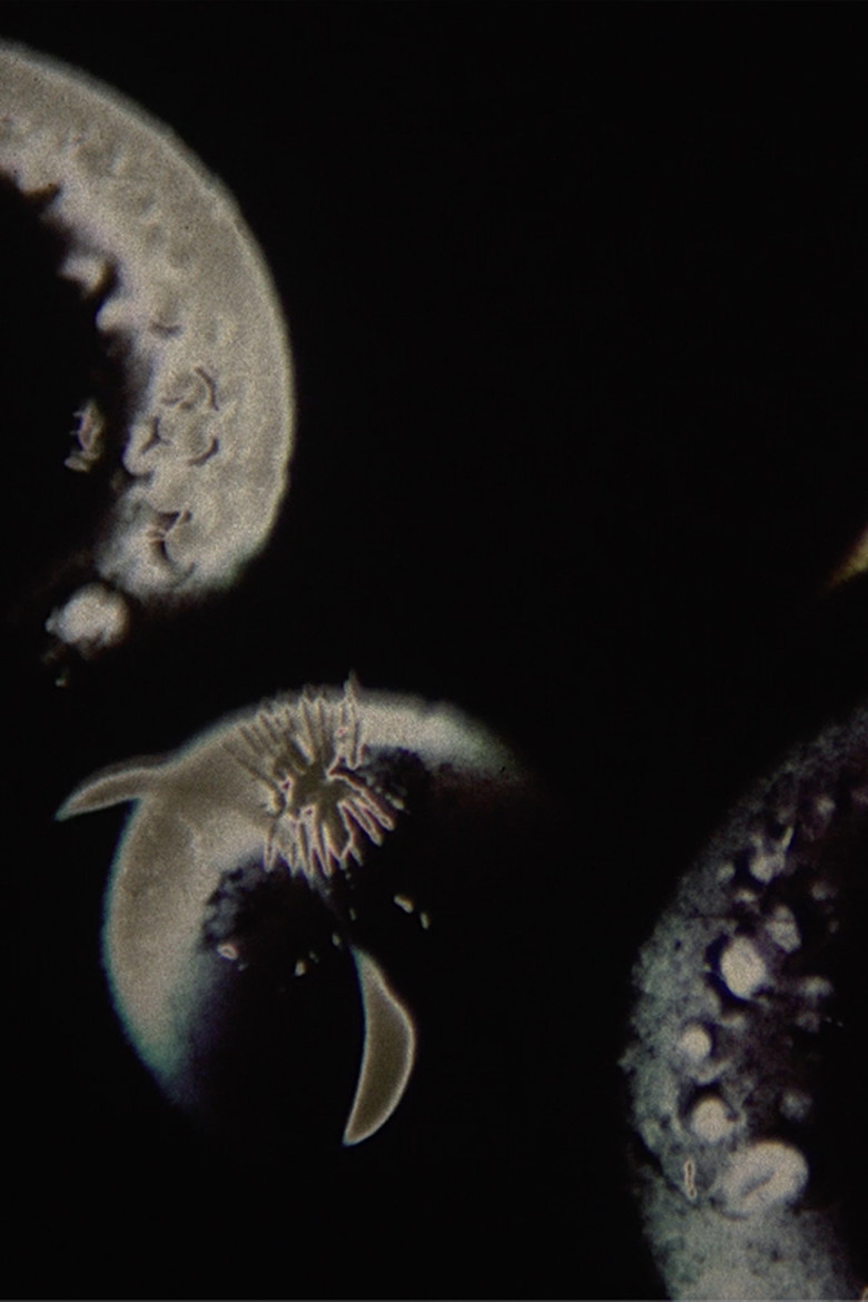 Saturnal poster background