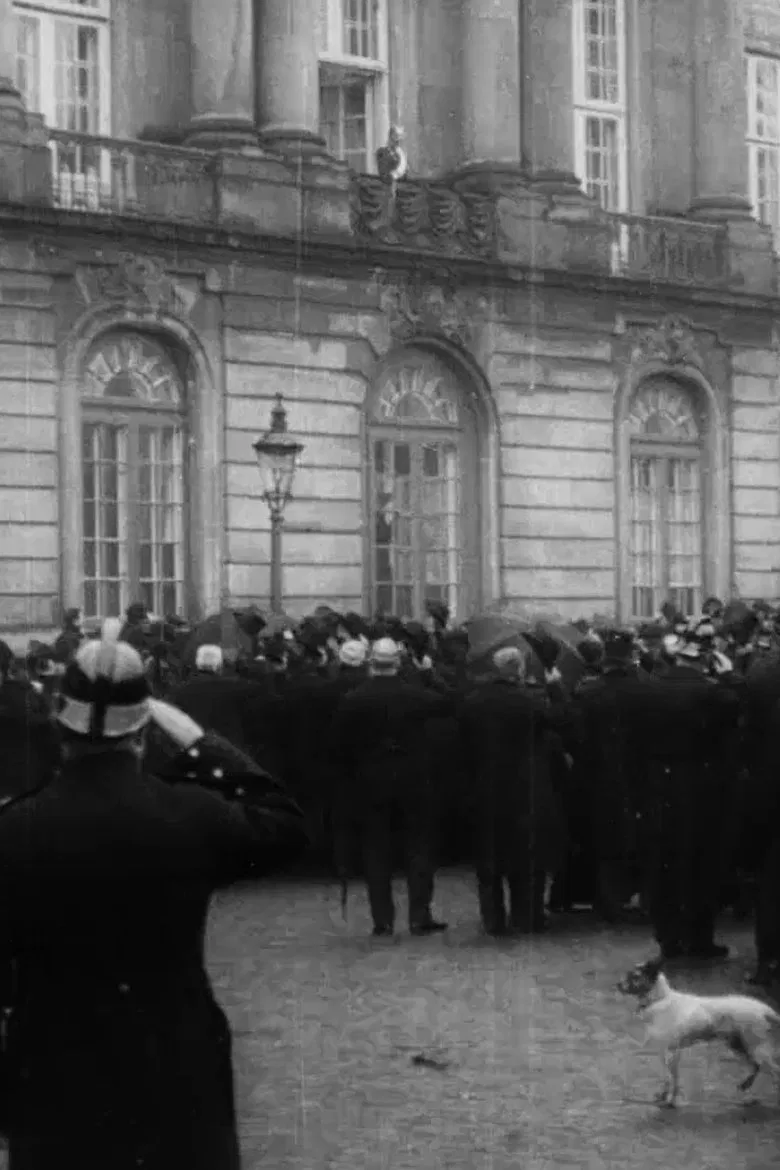 King Frederik VIII's Proclamation poster background