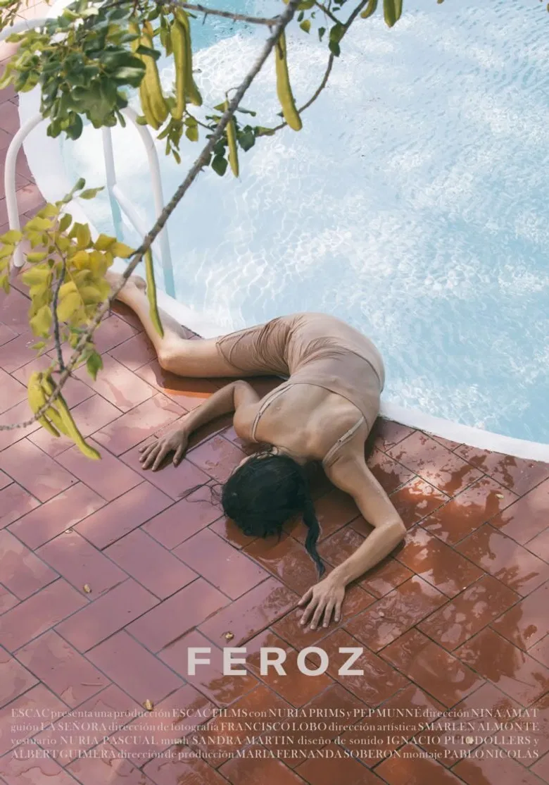 Feroz poster background