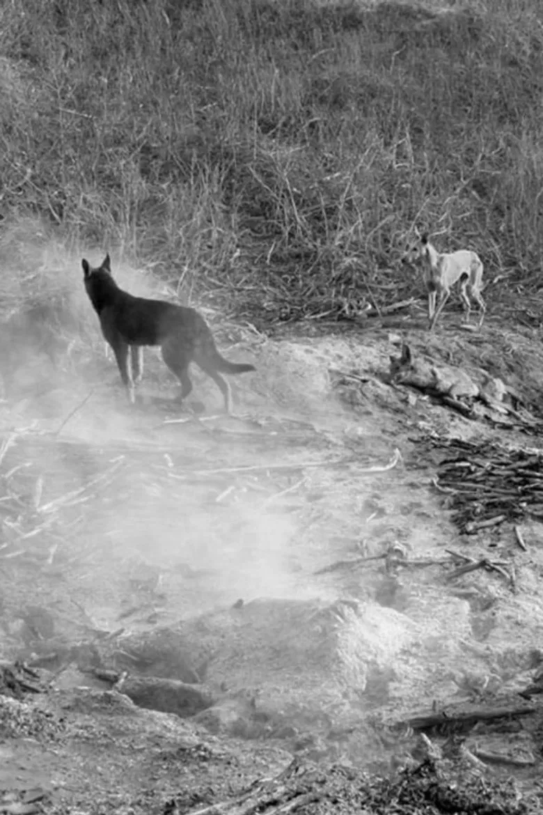 East of Que Village poster background