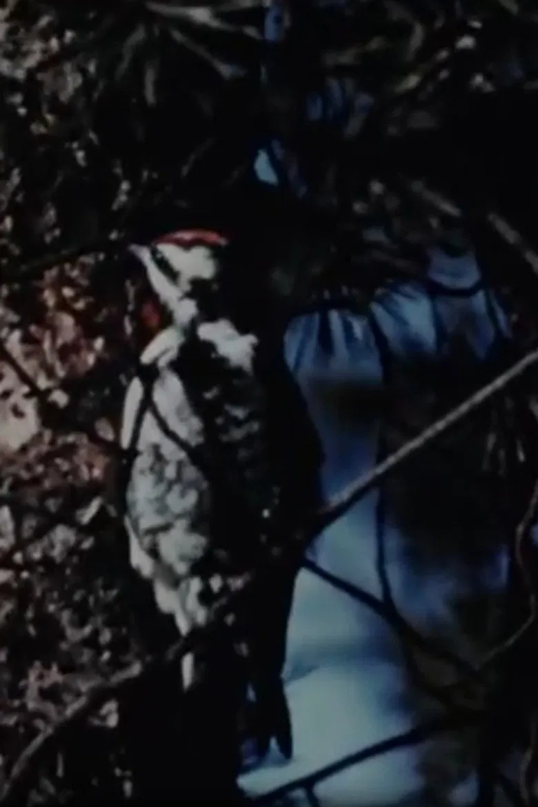 The Seasons poster background