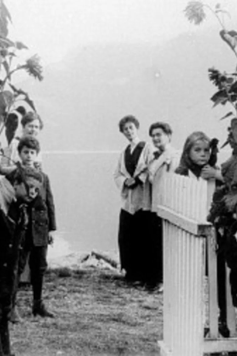 Solvorn poster background