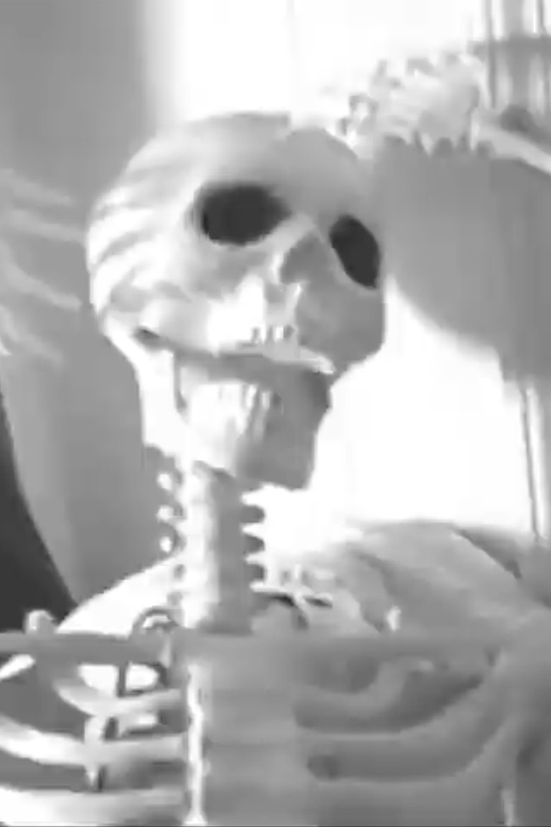 Canvas of Echos poster background