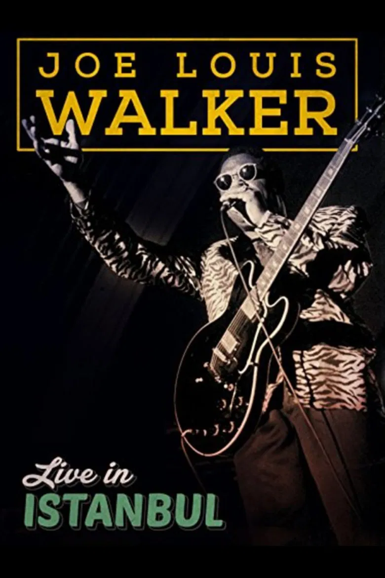 Joe Louis Walker: Live In Istanbul poster background
