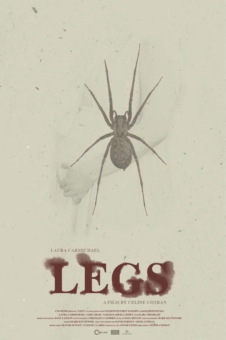 Legs poster background