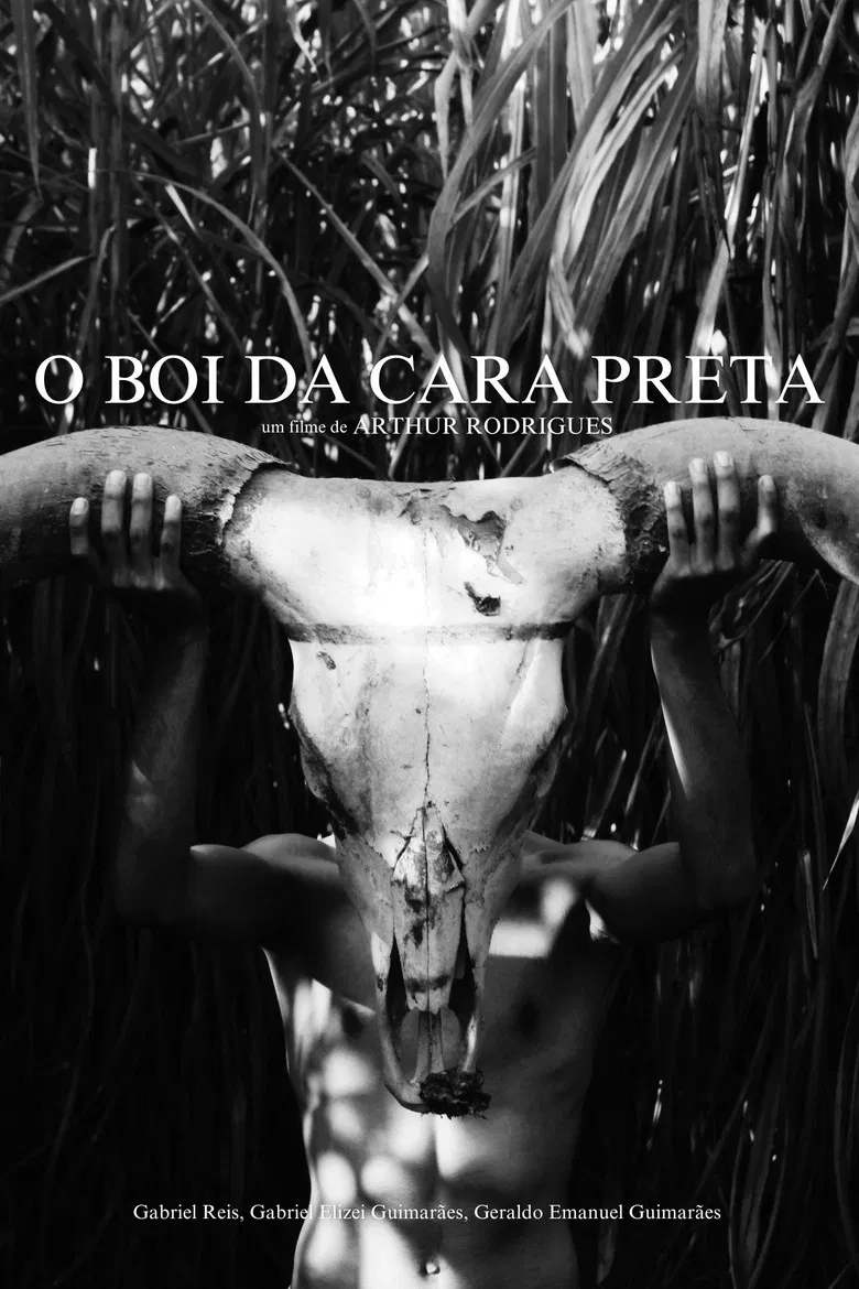 O Boi da Cara Preta poster background