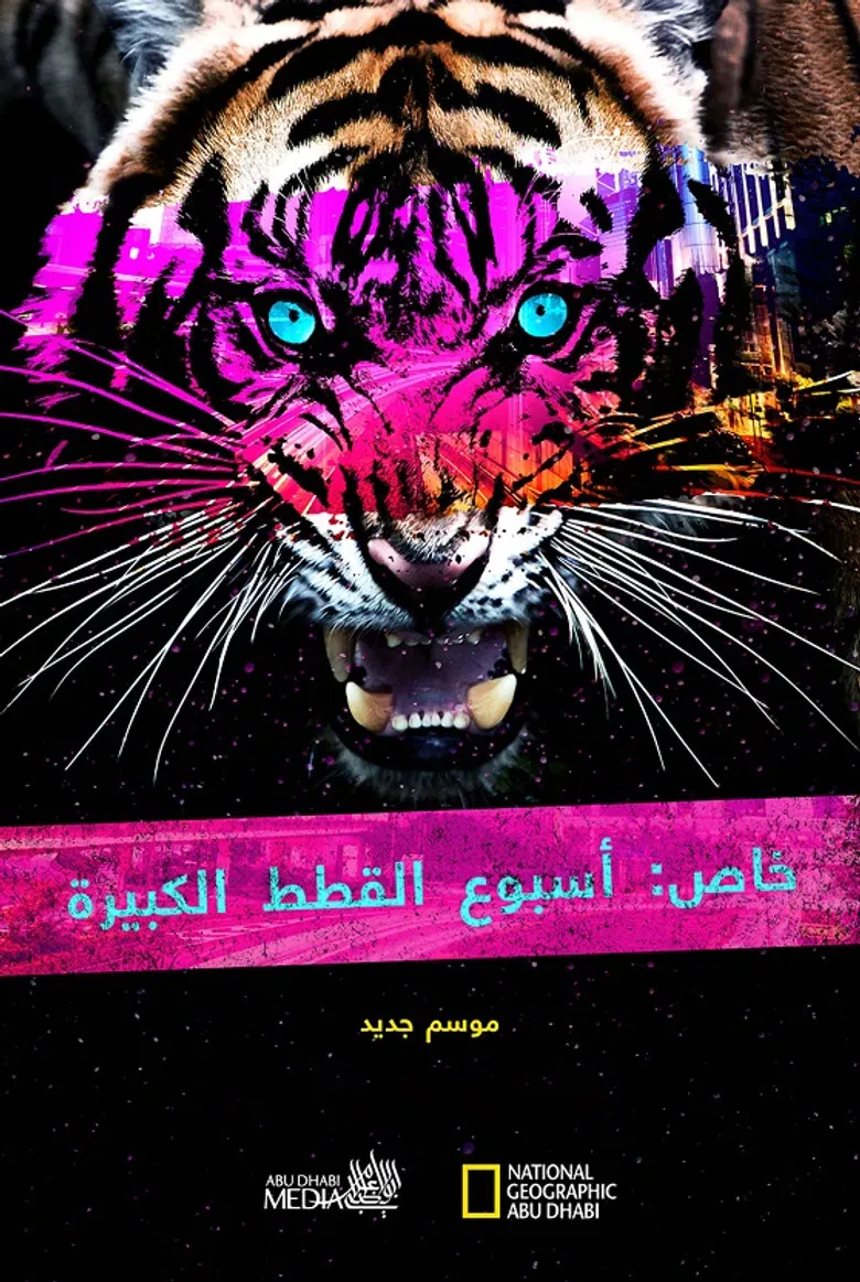 Big Cat Week Collection poster background