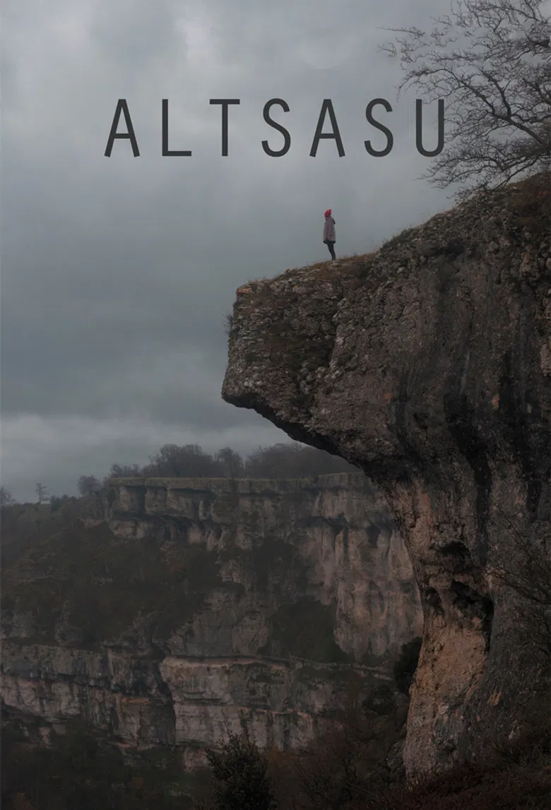 Altsasu poster background