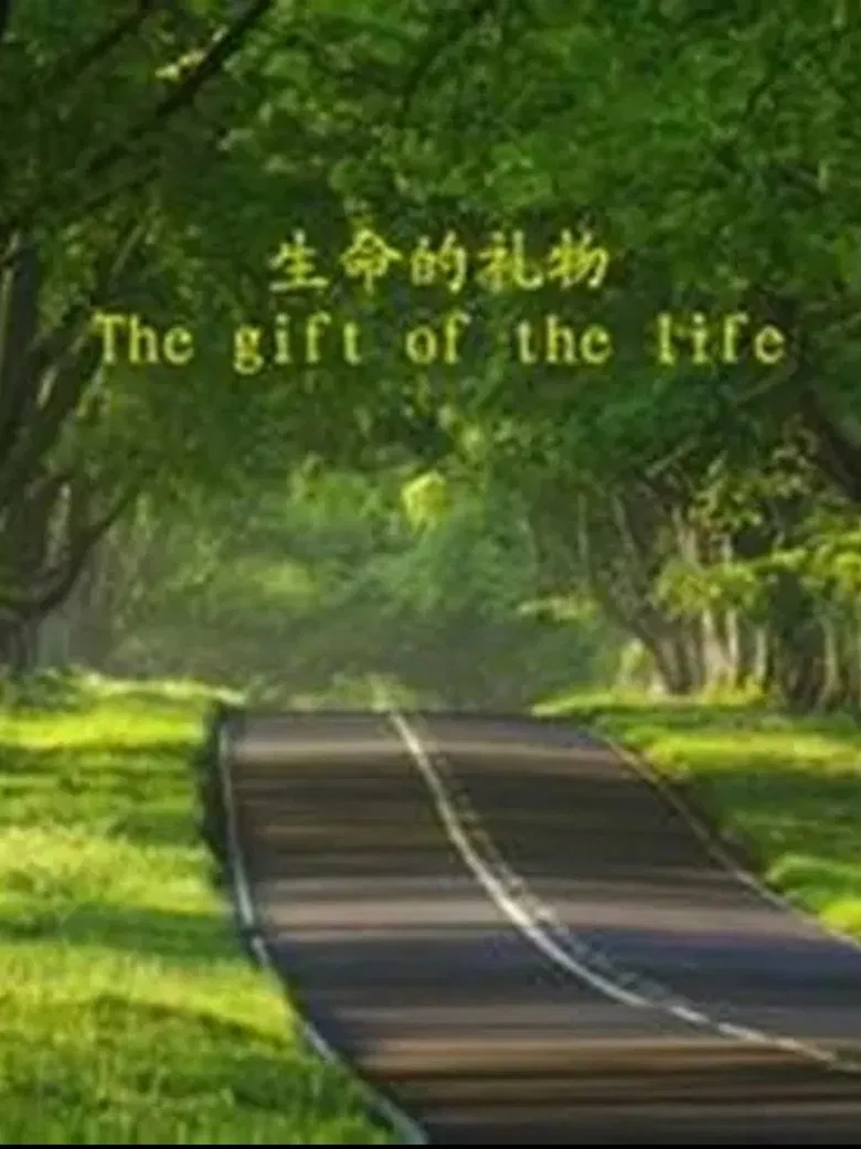 The Gift of the Life poster background
