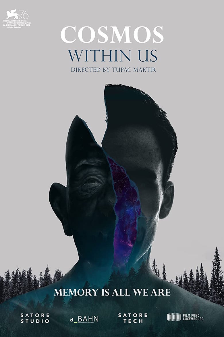 Cosmos Within Us poster background