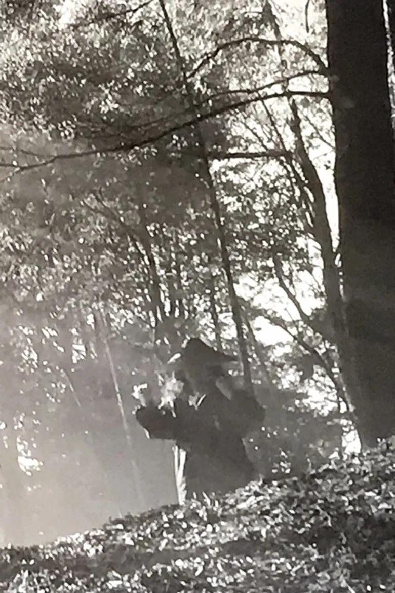 A Story About Kusanojo poster background