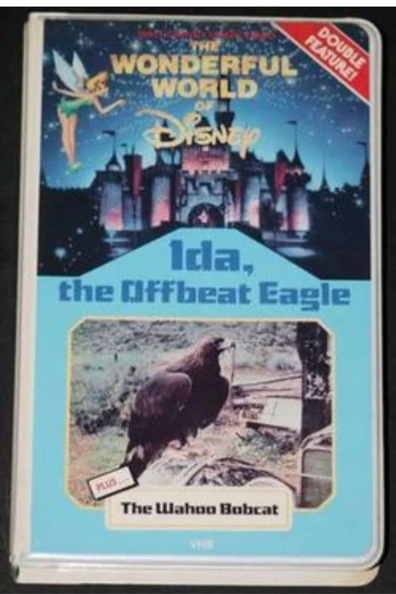 Ida, the Offbeat Eagle poster background
