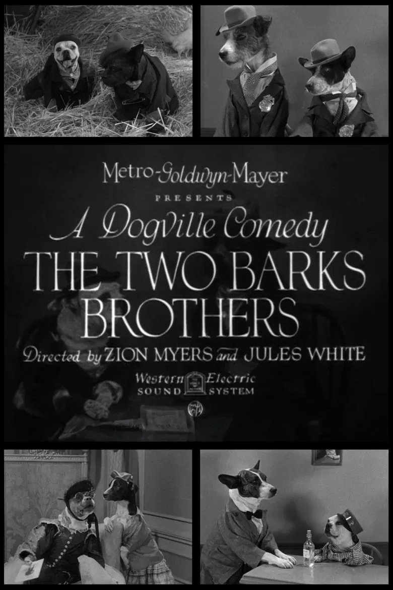 The Two Barks Brothers poster background