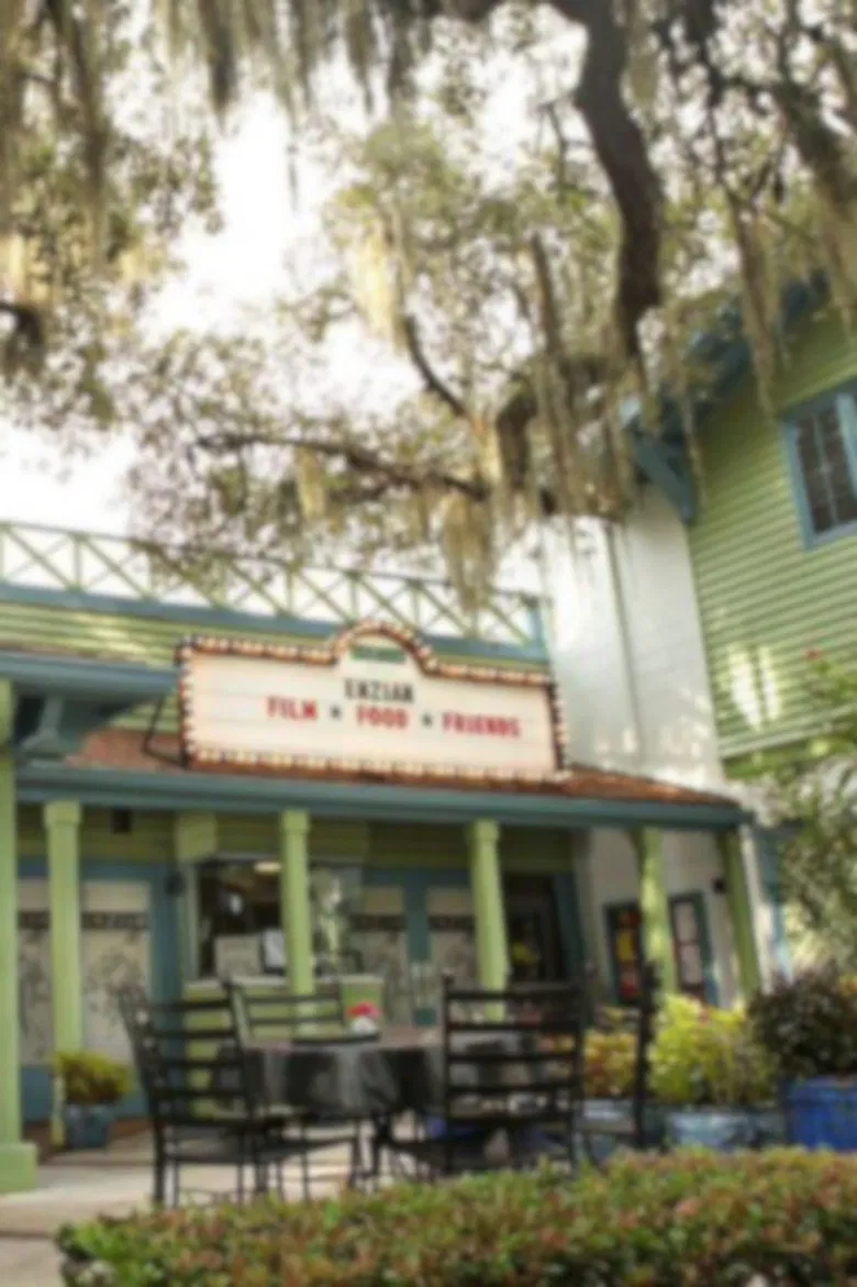 Enzian: When the Lights Go Up poster background