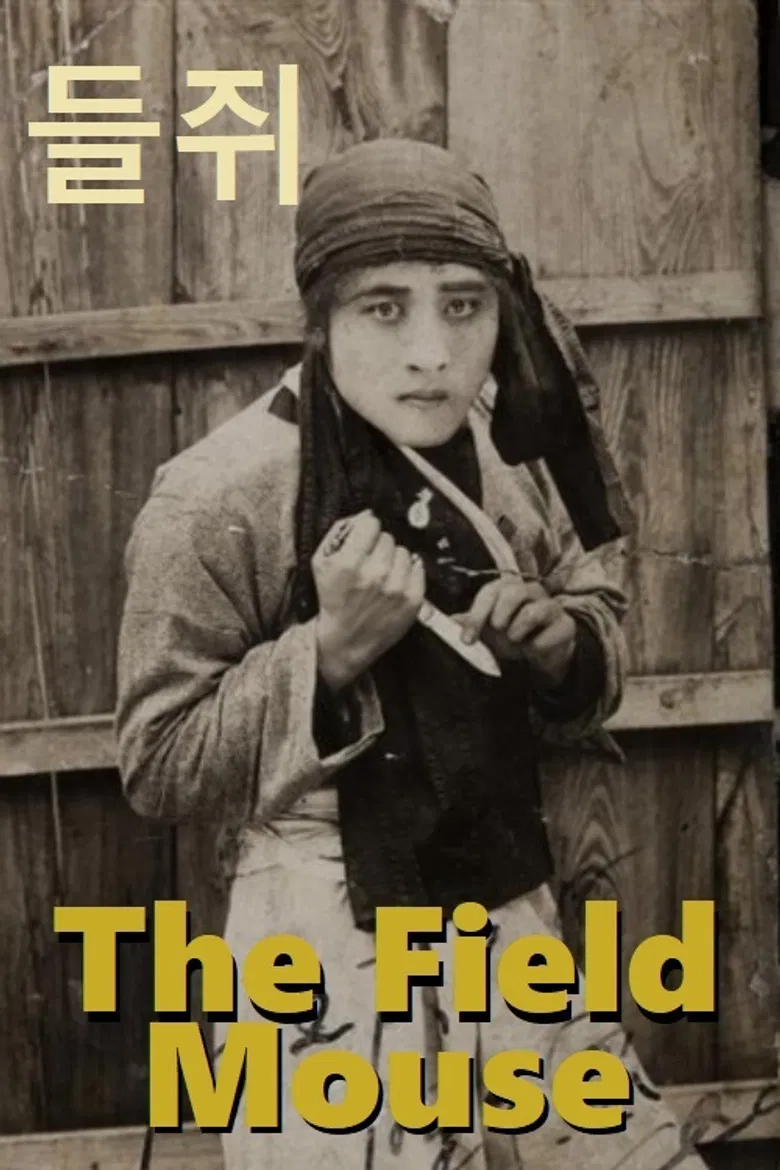 Field Mouse poster background