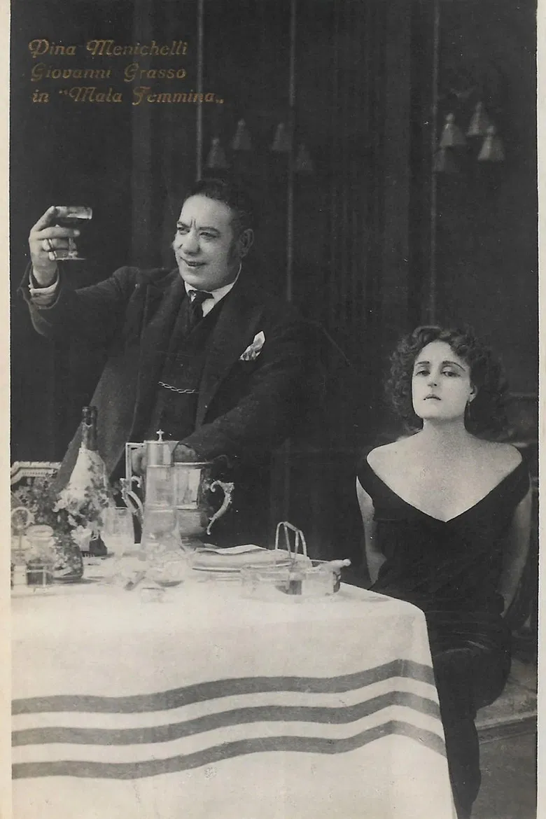 L' ospite sconosciuta poster background