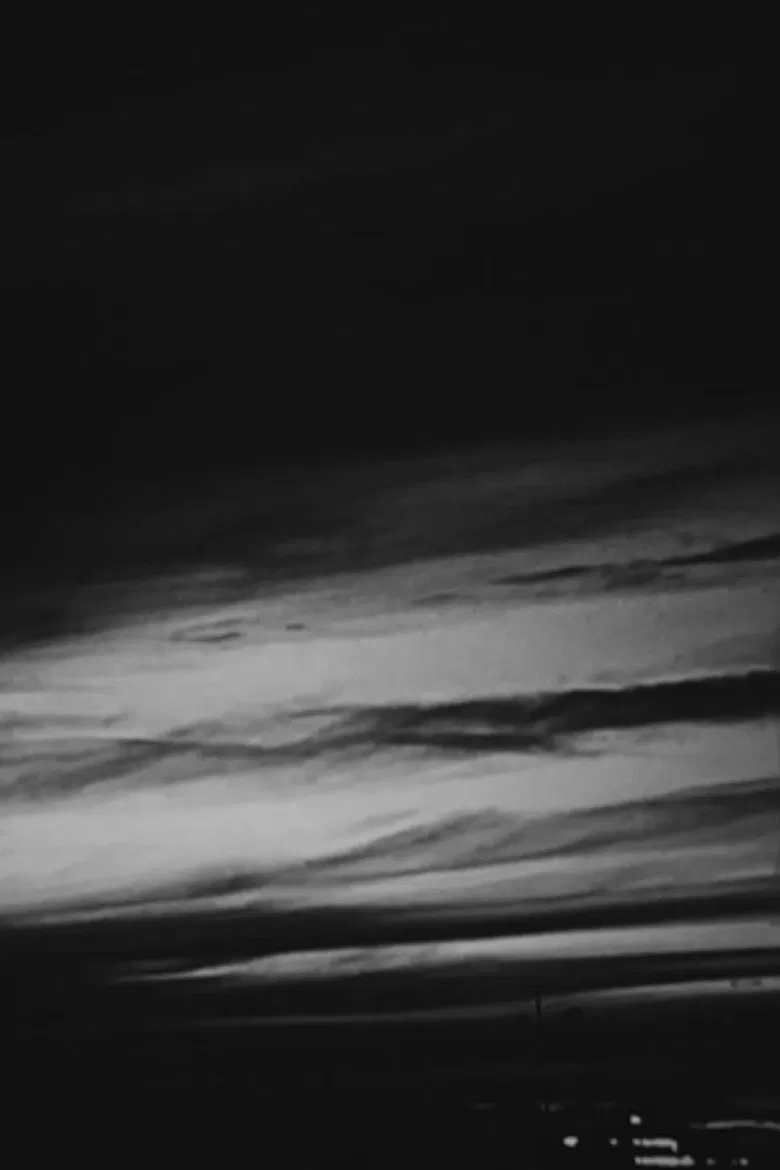 Like a bird days poster background