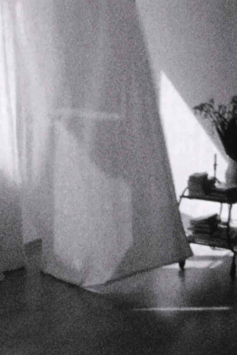 Weiße Vorhänge poster background