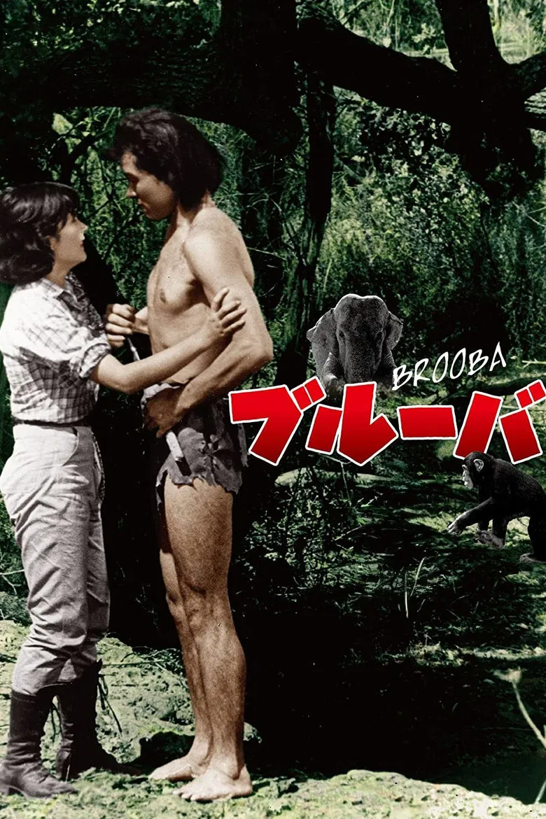 Brooba poster background