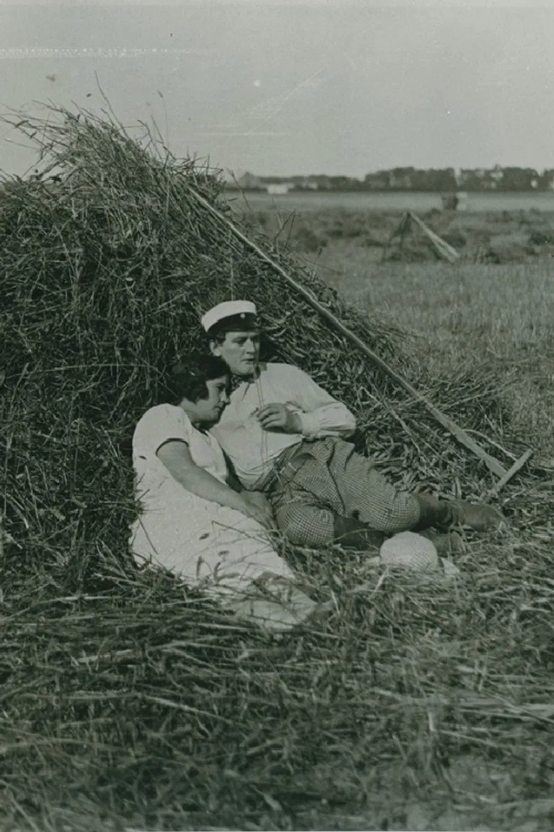 Den gamla herrgården poster background