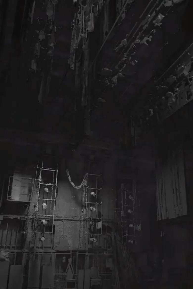 A City Within a Building: Mariupol Drama Theater poster background