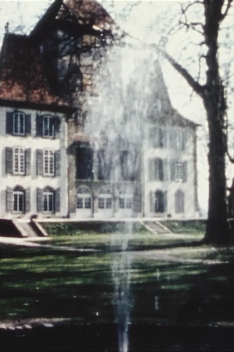 13 Bern Museums poster background