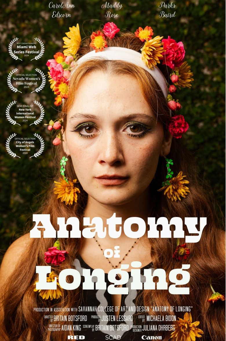 Anatomy of Longing poster background