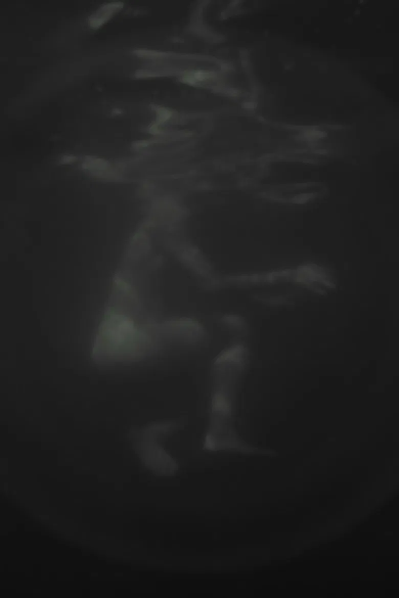 Hazug disznók az álmok is poster background