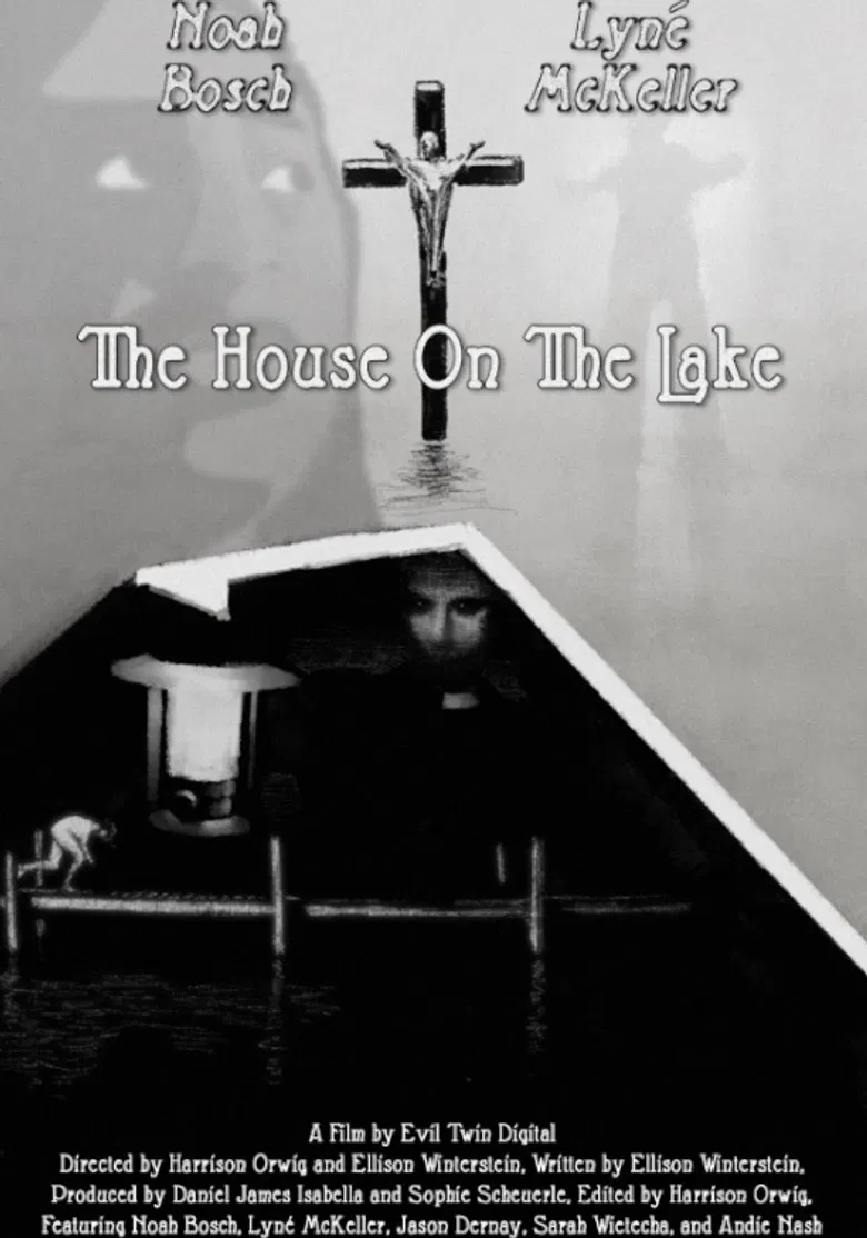 The House On The Lake poster background