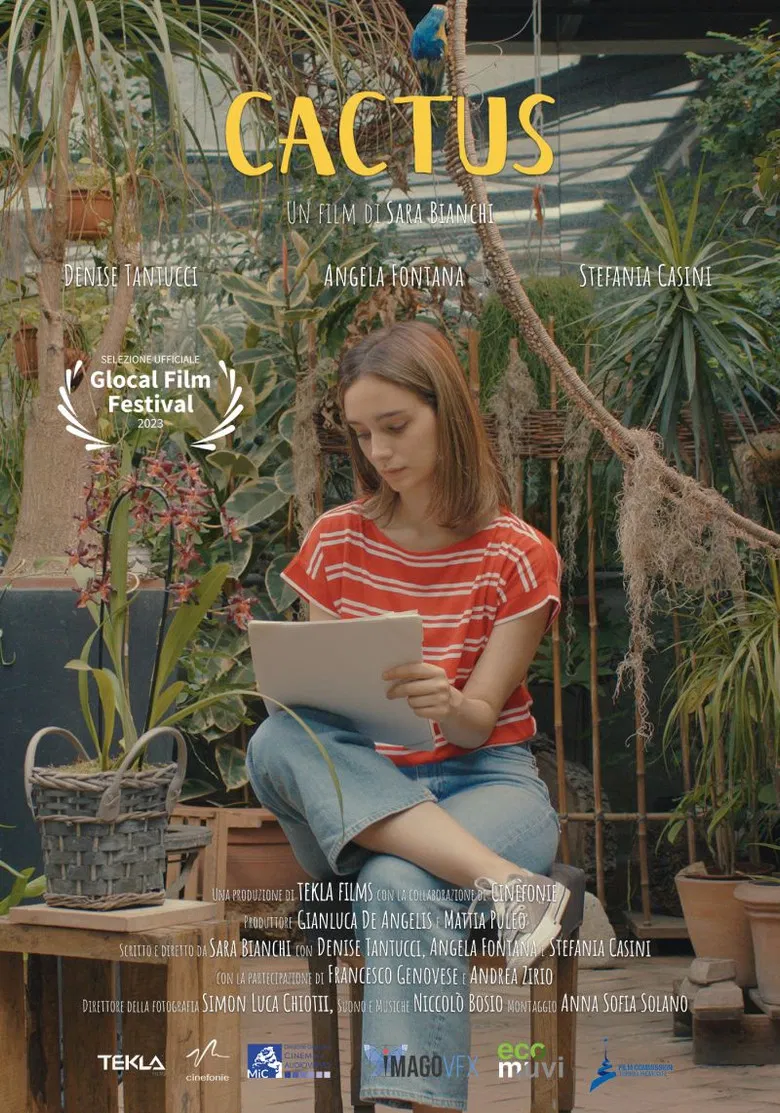 Cactus poster background