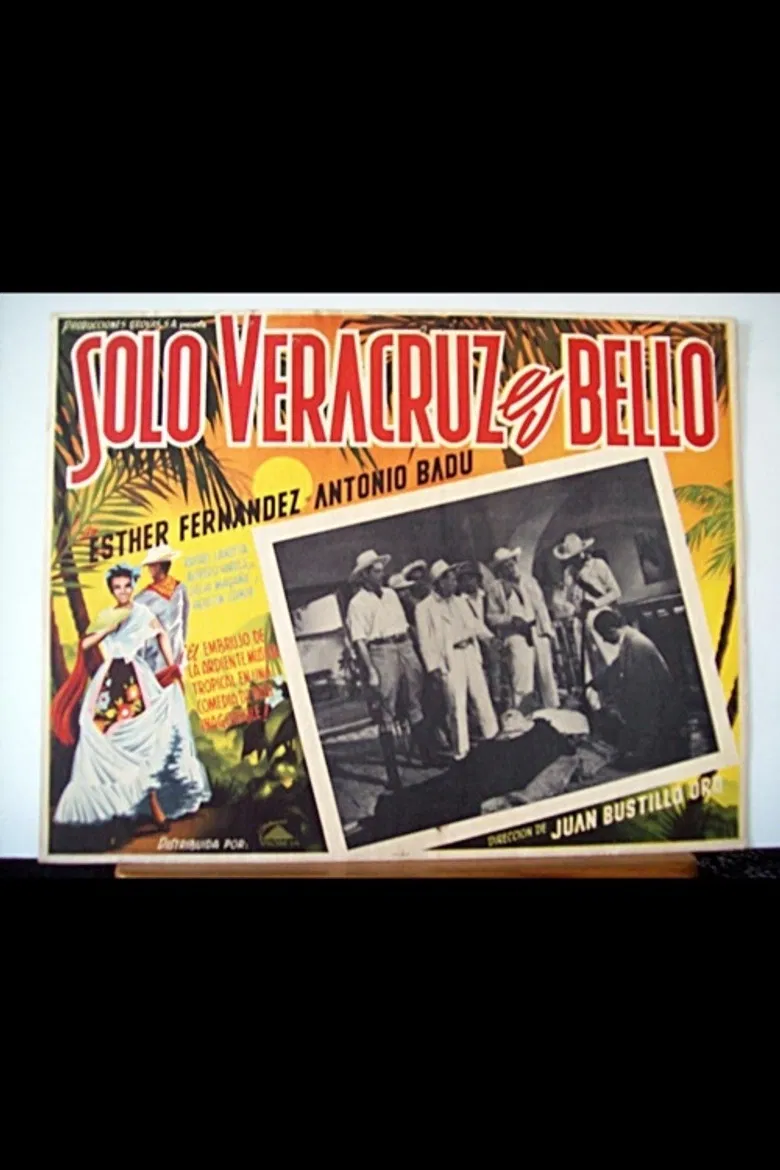 Solo Veracruz es bello poster background