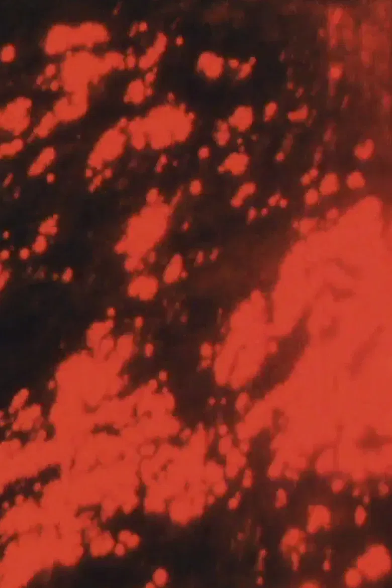 The Red Sea poster background