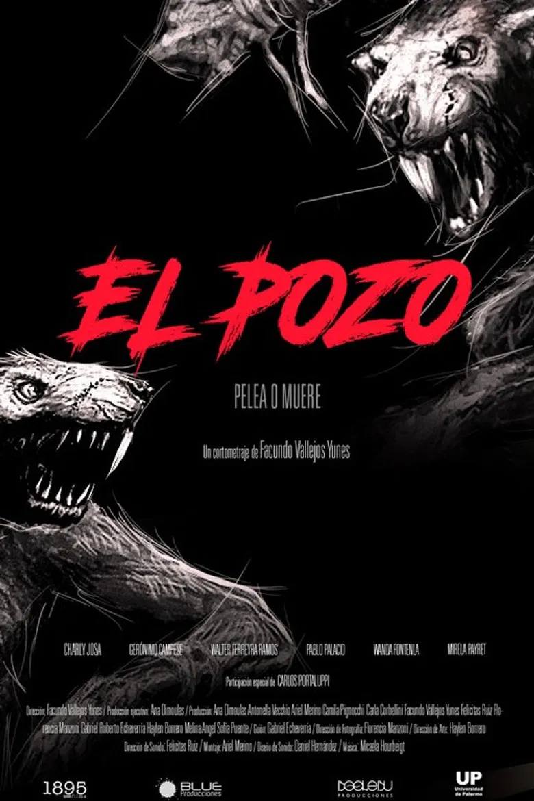 El pozo poster background