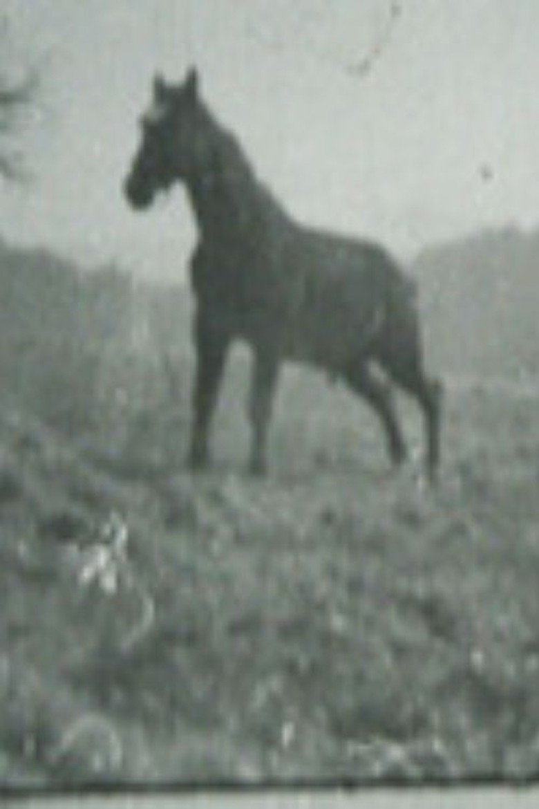 Golan poster background