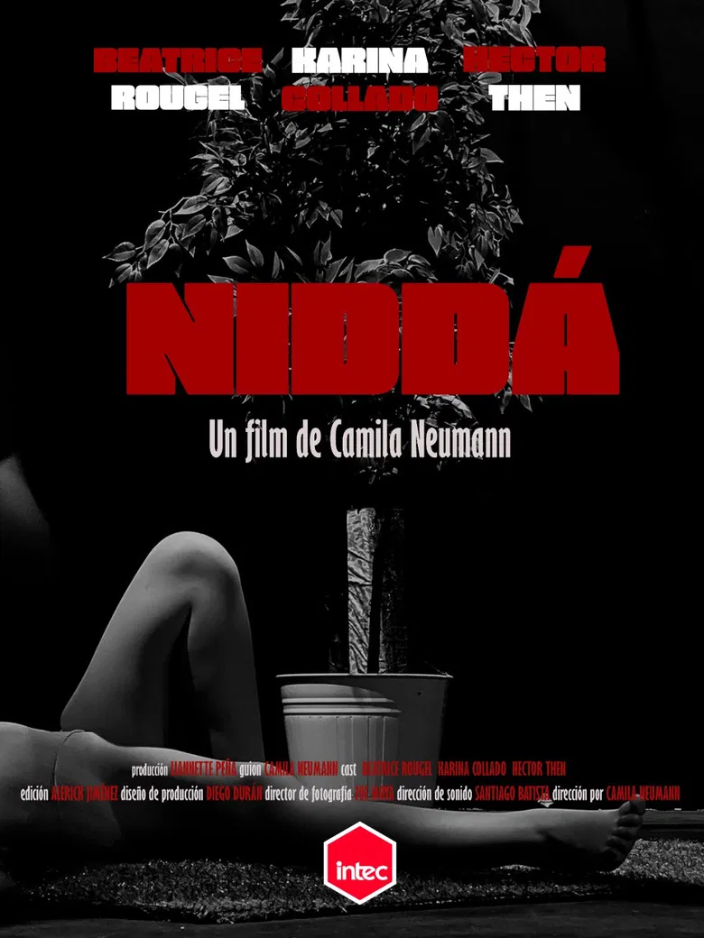 Niddá poster background