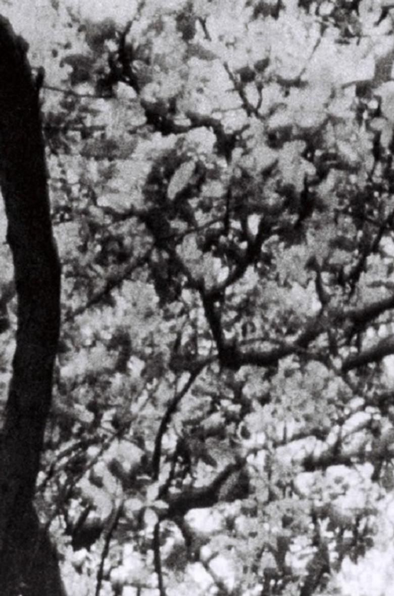 This is for Jonas Mekas poster background