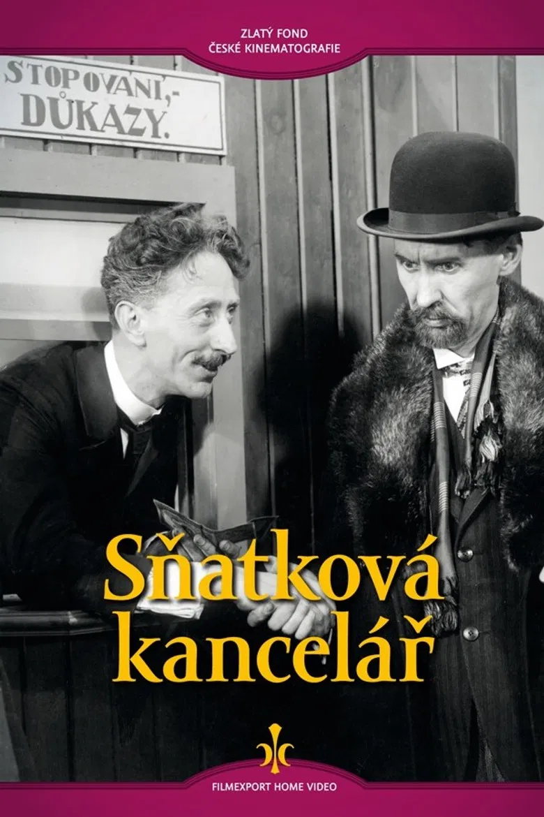 Sňatková kancelář poster background