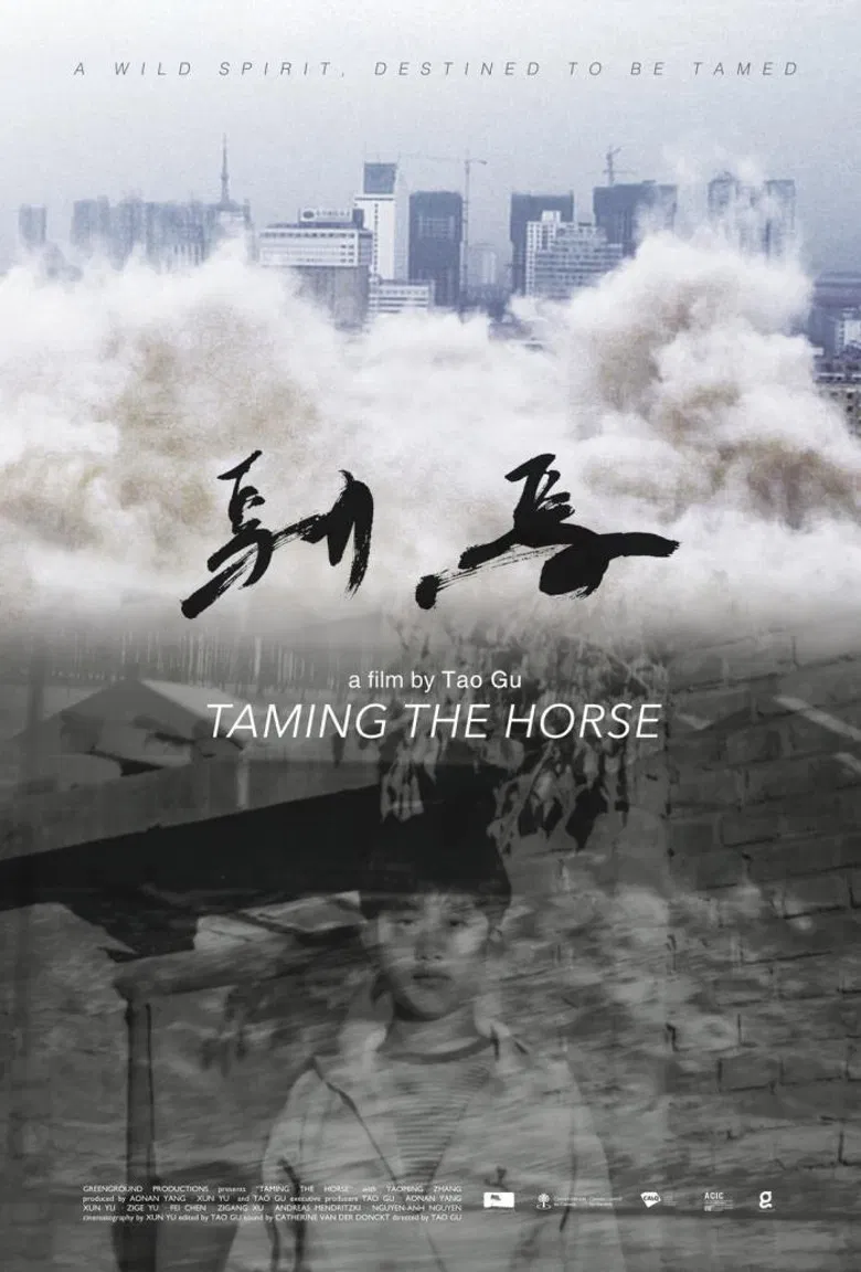 Taming the Horse poster background